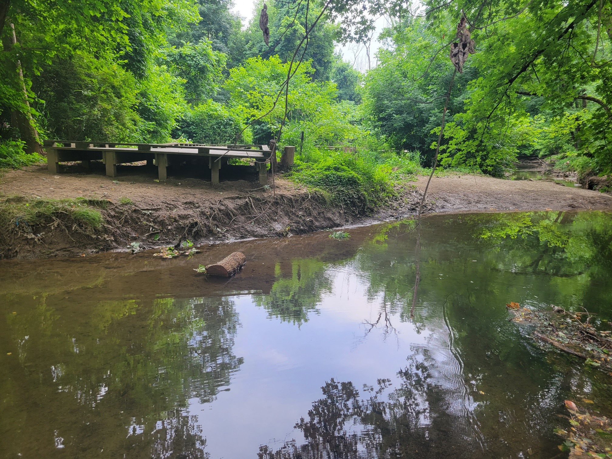 Trail & Site Improvements - Wildwood Lake